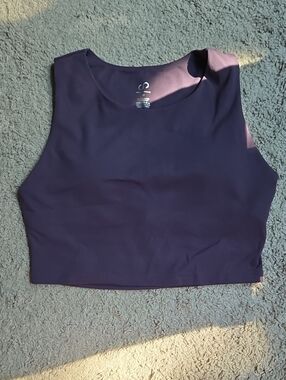 Curves And Combatboots Purple Crop Sports Bra